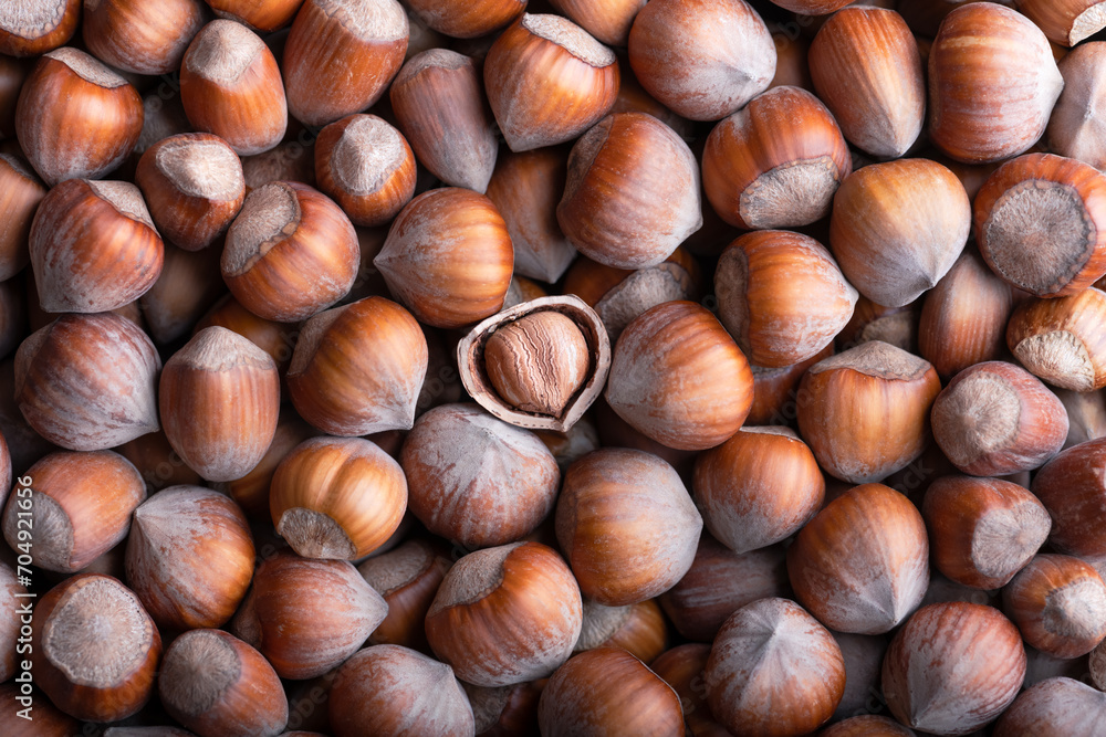 Hazelnut nuts heap with one broken nut close up. Food photography Hazelnut nuts heap with one broken nut close up. Food photography
