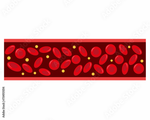 Red blood cells flowing through an artery flat vector illustration.