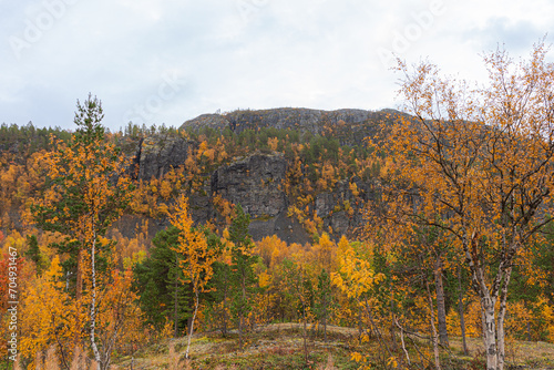 Landschaftsfotografie von einem in Herbstfarben erstrahlenden Berg in Norwegen, Skandinavien. 