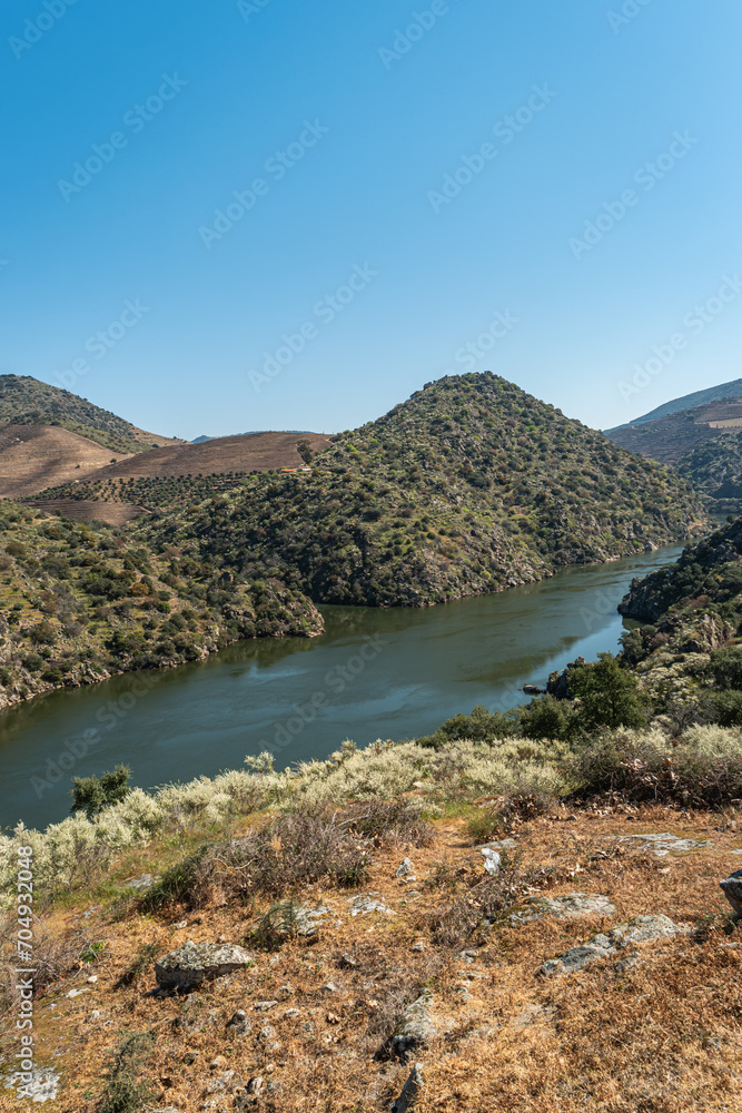 Viewpoint of Arnozelo allows to see a vast landscape on the Douro and its man-made slopes. Douro Region, famous Port Wine Region, Portugal.