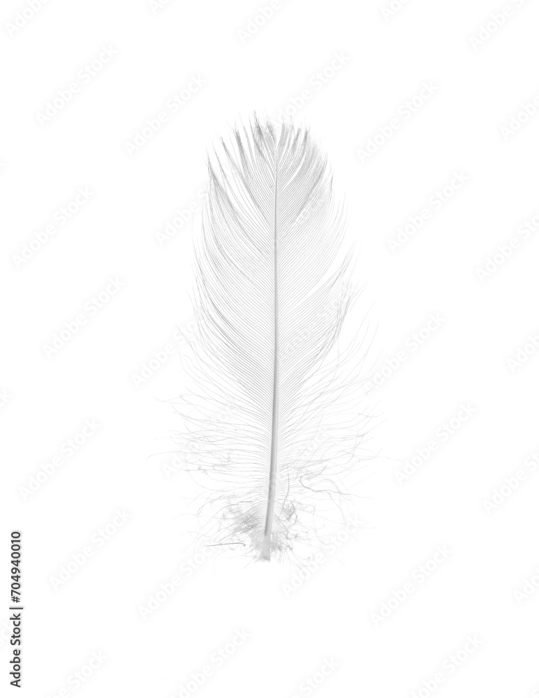 Beautiful fluffy bird feather isolated on white Beautiful fluffy bird feather isolated on white
