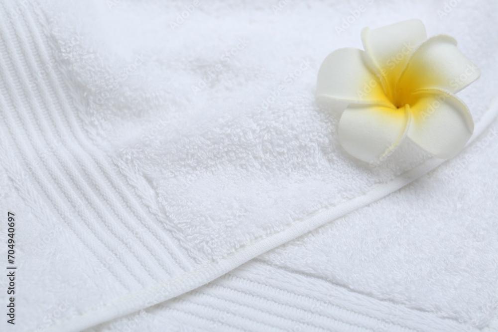 Plumeria flower on white terry towel, closeup. Space for text Plumeria flower on white terry towel, closeup. Space for text