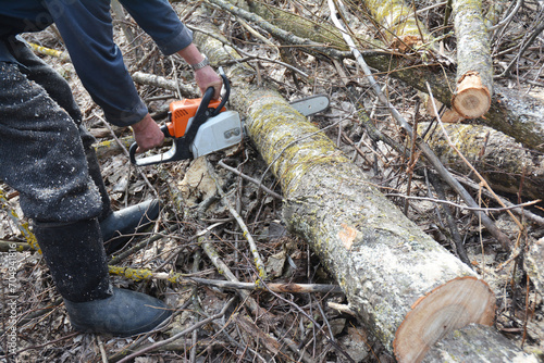 Cutting firewood. A man is cutting a tree, firewood with an chainsaw to heat home in winter.