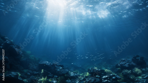 An underwater scene highlighting negative space. photo