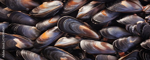 Raw seafood or sea shells or barnacles.