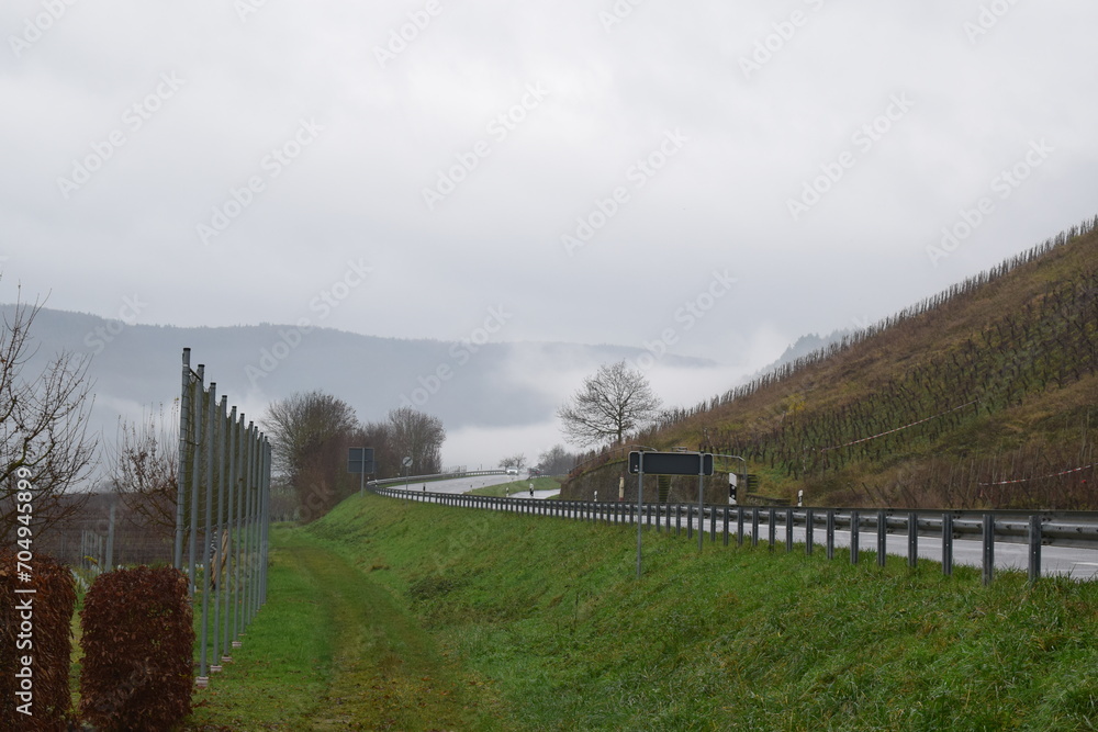 fog in Mosel valley with bold vineyards
