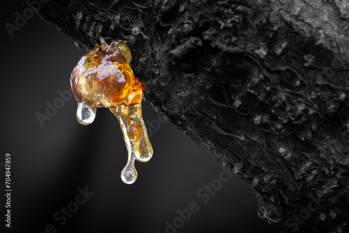 Resin