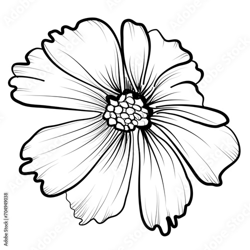 cosmos black and white hand drawing vector