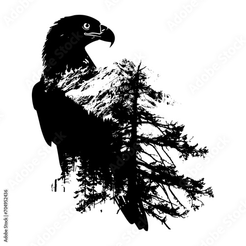 Illustration of raven, isolated on transparent background.
