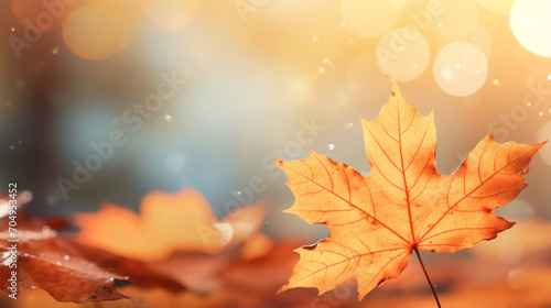 A single autumn maple leaf stands out with its vivid orange hue on a shiny water surface  glowing with sunlight.