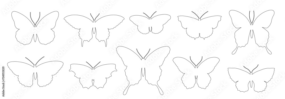 A set of linear sketches, contours of various butterflies.Vector graphics. A set of linear sketches, contours of various butterflies.Vector graphics.