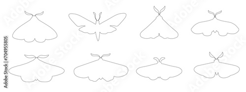 Set of linear sketches, contours of night moths.Vector graphics.