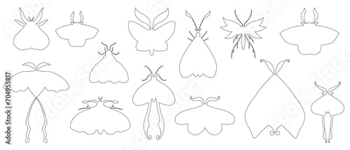 Set of linear sketches  contours of night moths.Vector graphics.