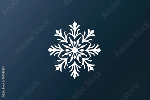 Beautiful and stylish snowflake logo.