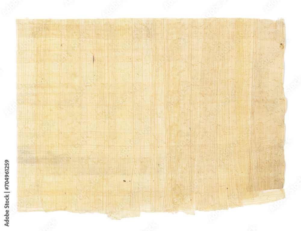 Horizontal handmade papyrus paper from Egypt, transparent background