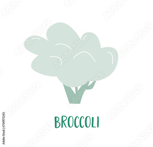 A hand drawn broccoli cabbage. Green vegetable for healthy vegan lifestyle. Go vegetarian. A simple flat illustration.