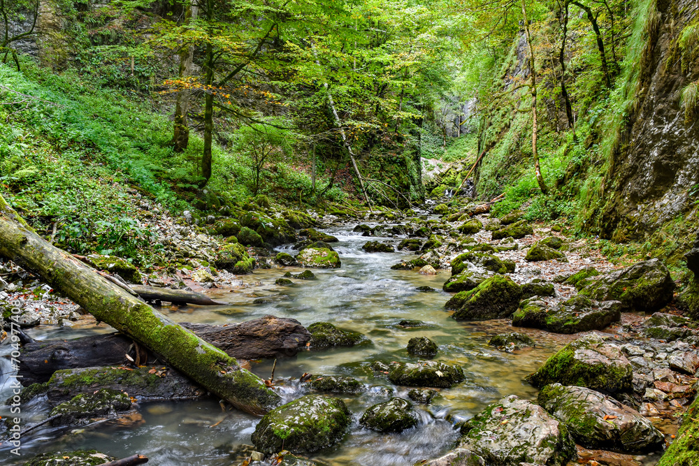 River flowing through the canyon - Romania landscape River flowing through the canyon - Romania landscape