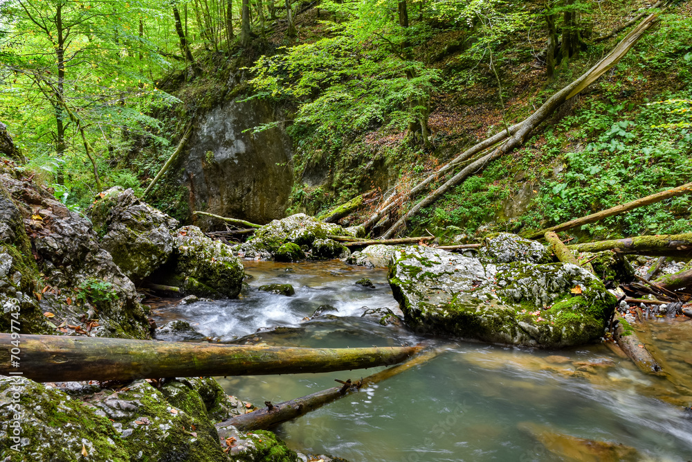 River flowing through the canyon - Romania landscape River flowing through the canyon - Romania landscape
