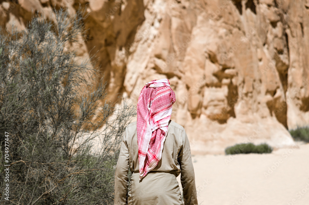 Naklejka premium bedouin in white goes in the canyon in the desert among the rocks in Egypt Dahab South Sinai