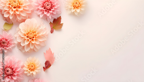 Arrangement of beautiful autumn dahlia flowers on pastel background top view
