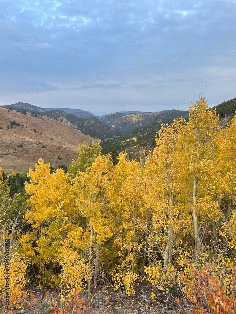 Fall Foliage in the Rocky Mountains