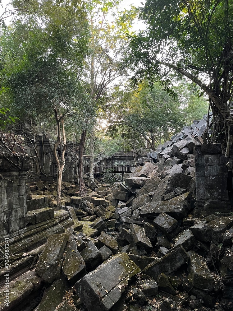 roots and trees growing over temple in Cambodia