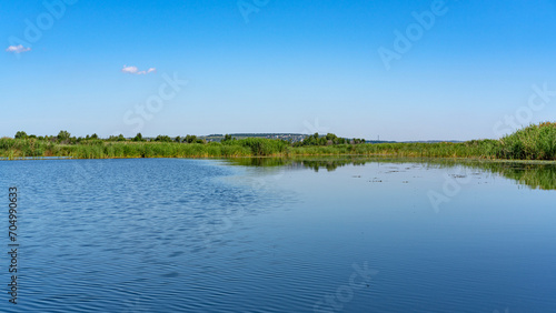 Different images of reeds on the river.