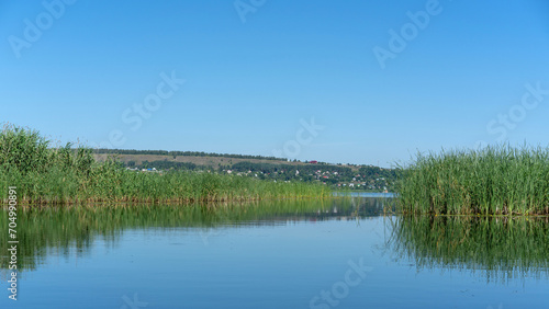 Different images of reeds on the river.