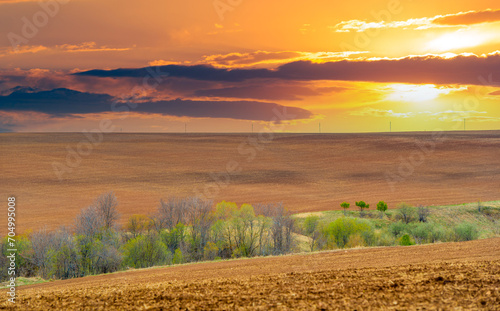 Sunsets provide a stunning backdrop to a plowed field. Experience the tranquility of rural life during the twilight hours. The beauty of nature shines in this pristine setting.