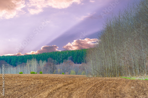 Enjoy the breathtaking beauty of nature at dusk. Immerse yourself in the tranquility of rural life. Watch the sun set behind a picturesque plowed field. Discover the harmony of untouched nature © Alexandr