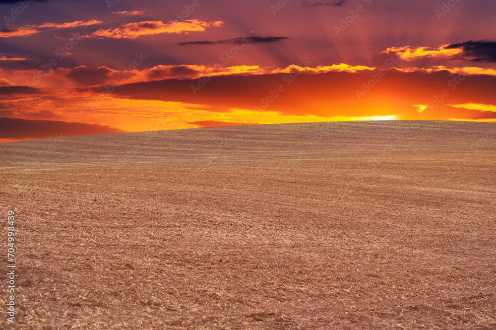 Experience a moment frozen in time, where a plowed field meets the vast expanse of a spectacular sunset. Admire the sheer beauty of this rural landscape, Enchanting Landscape