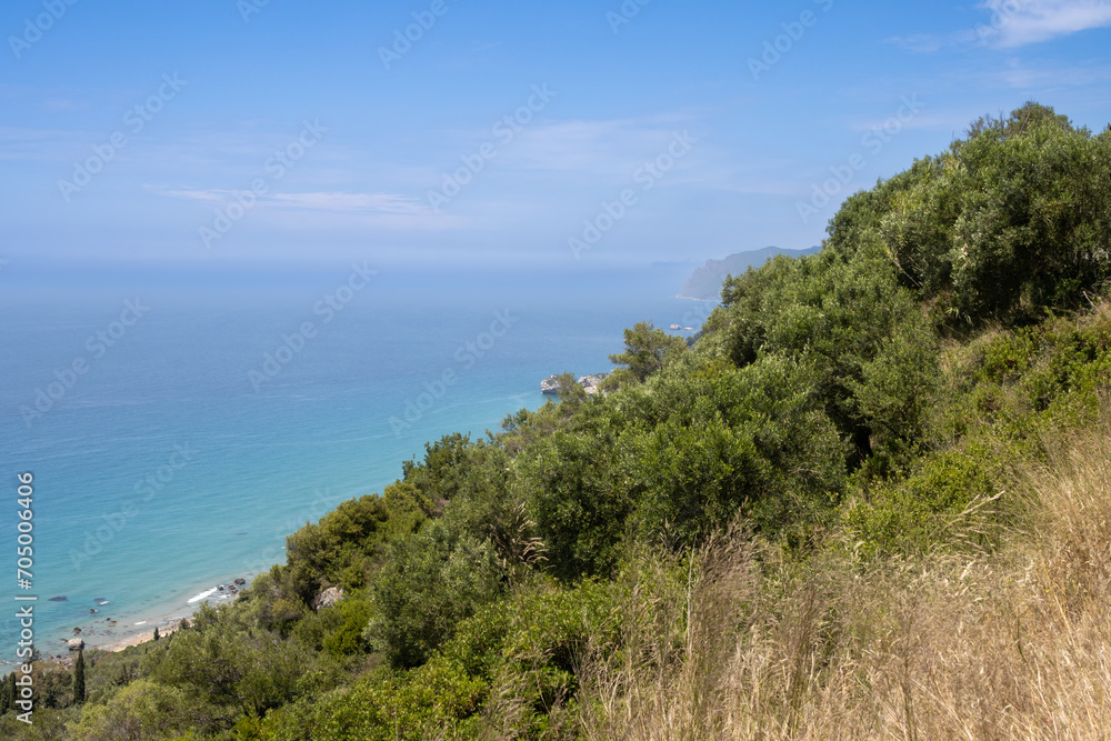 Vegetation on a cliff above Ionian sea, Corfu, Greece