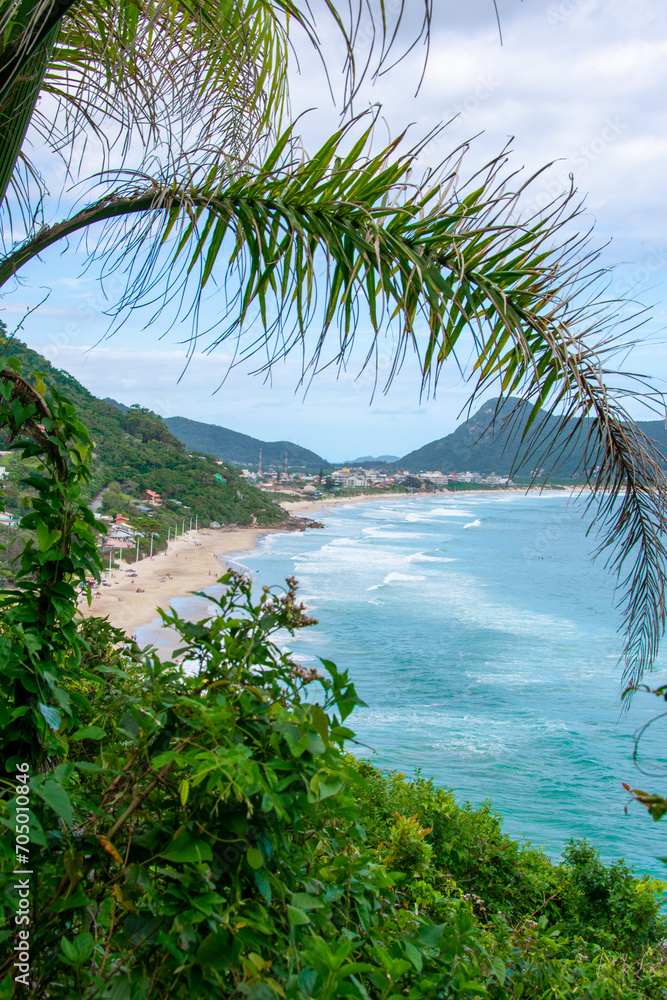 The view extends between palm branches to a long sandy beach surrounded by green, densely vegetated mountains and turquoise sea. Solidão Beach, Florianópolis, Brazil