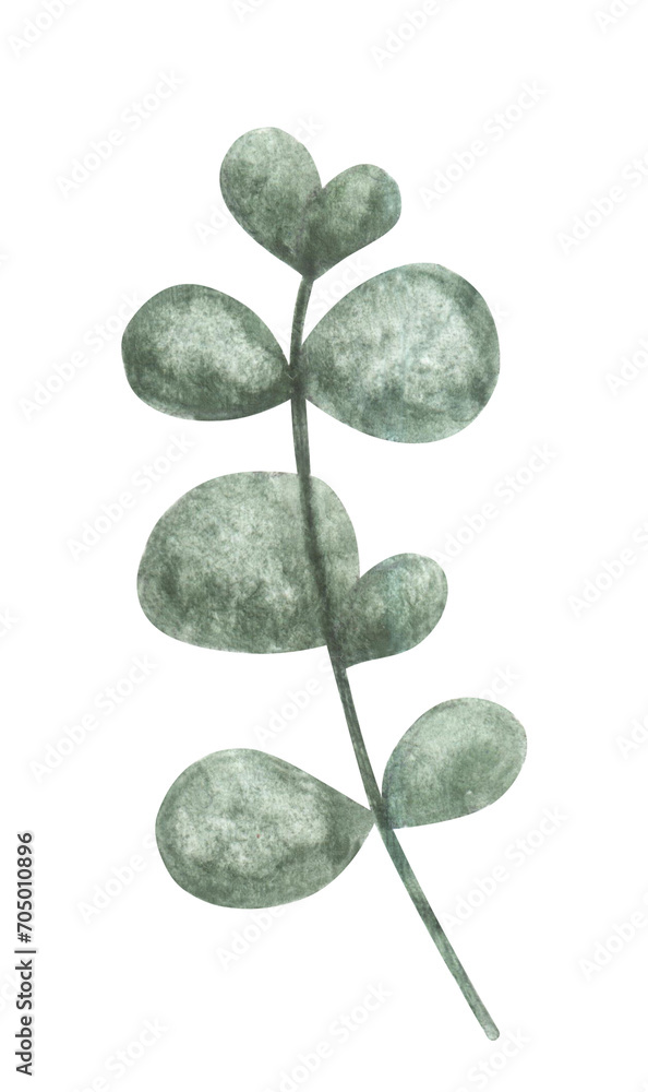 Watercolor hand painted eucaliptus green branches and twigs.Botanical spring summer easter party design element Watercolor hand painted eucaliptus green branches and twigs.Botanical spring summer easter party design element