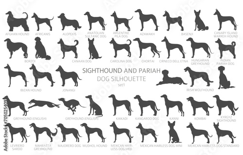 Dog breeds silhouettes simple style clipart. Hunting dogs Sightounds and pariah dogs collection