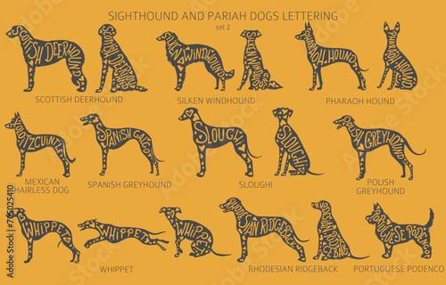 Dog breeds silhouettes with lettering, simple style clipart. Hunting dogs, sighthounds and pariah dogs collection