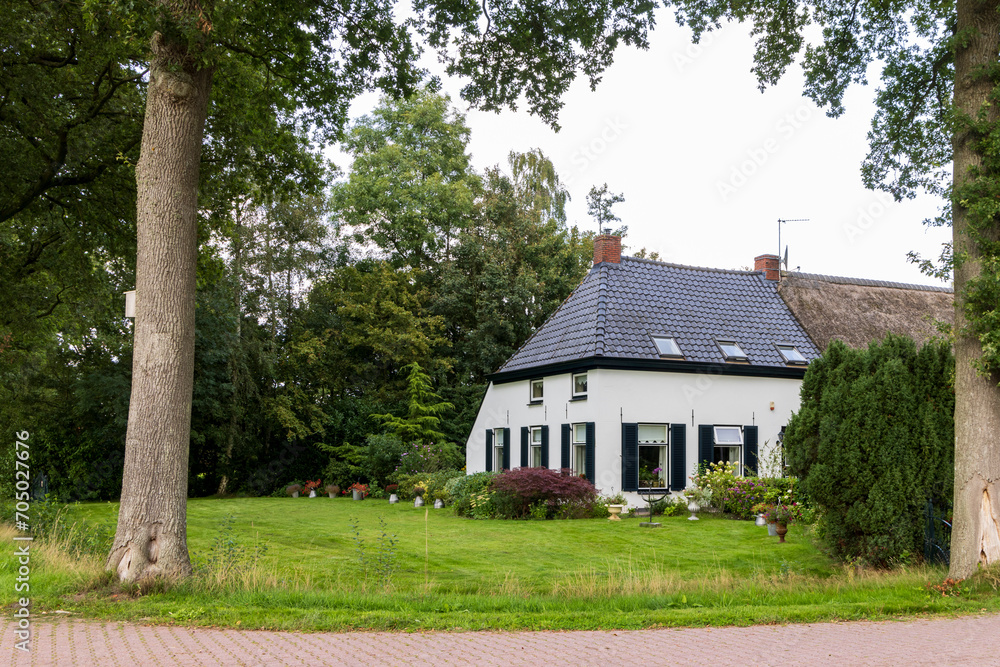 Large white farm house surrounded by trees in Foxwolde municpality Noordenveld in Drenthe The Netherlands Large white farm house surrounded by trees in Foxwolde municpality Noordenveld in Drenthe The Netherlands