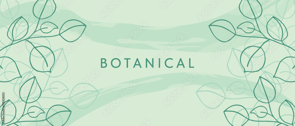 Botanical background with plants of soft green color. Floral background.
