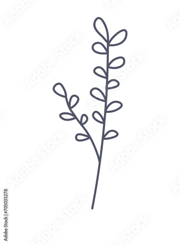 Floral element of a set in aesthetic design. The delicate flower branch is beautifully depicted, offering a captivating addition to design work. Vector illustration.