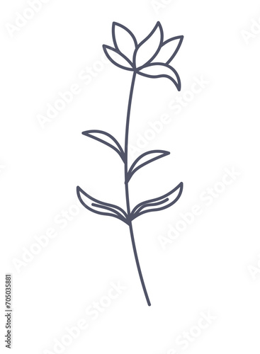 Floral element of a set in aesthetic design. The flower branch is brought to life against the clean white backdrop, making it an ideal choice for your design needs. Vector illustration.