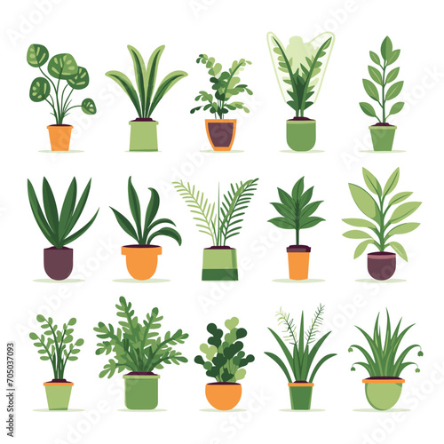 Set of potted plants for home. Different indoor houseplants isolated on white background. Vector illustration