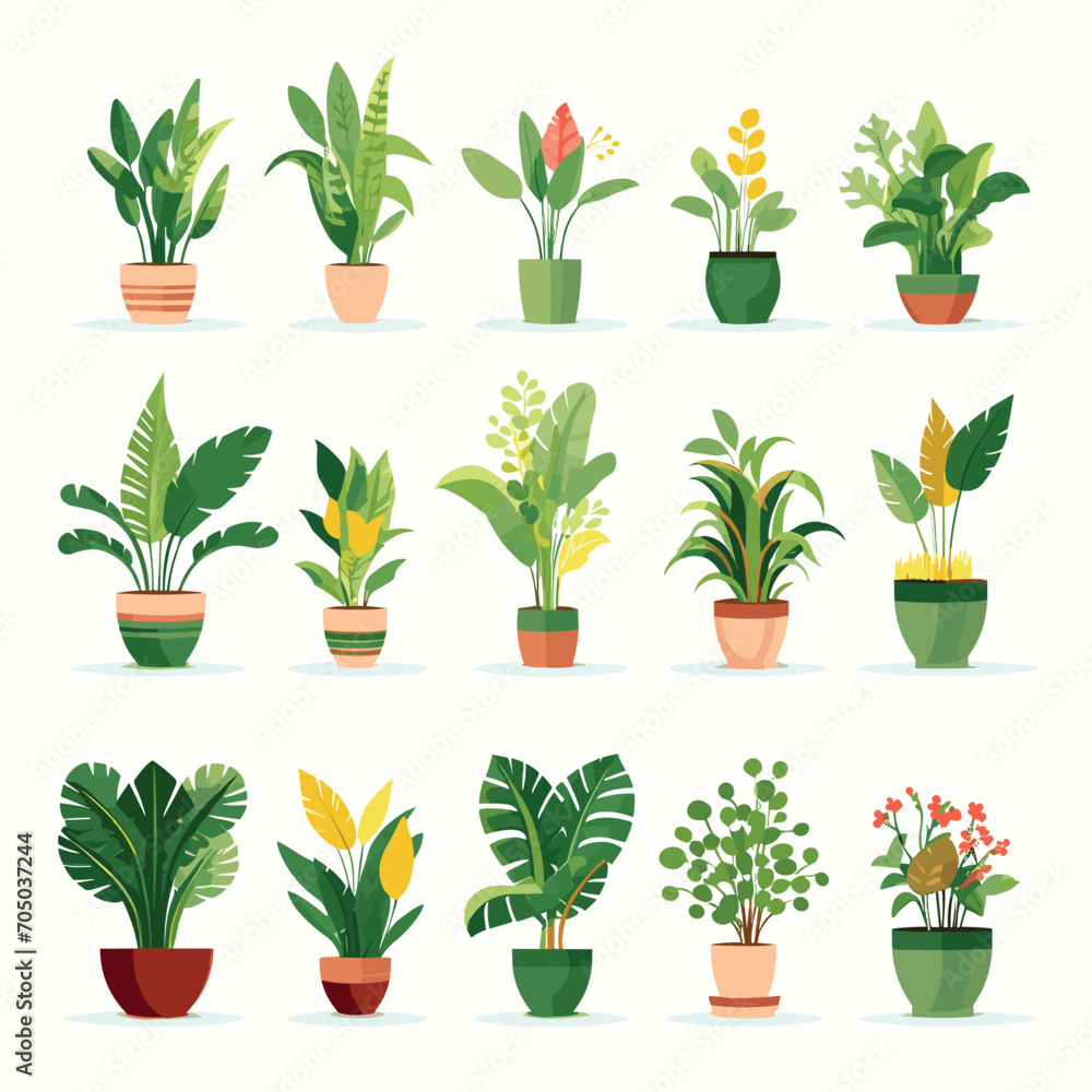 Set of potted plants for home. Different indoor houseplants isolated on white background. Vector illustration