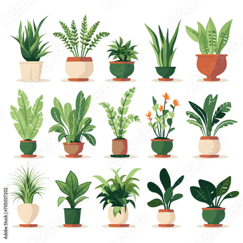 Set of potted plants for home. Different indoor houseplants isolated on white background. Vector illustration