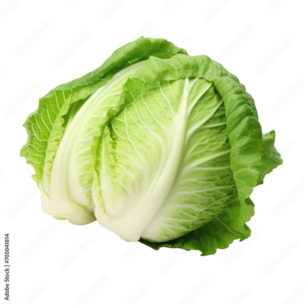 Raw cabbage isolated on a cutout PNG transparent background - obrazy, fototapety, plakaty 