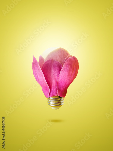 Lighting bulb made of magnolia flowers. Natural minimal concept. Creative spring idea. Flat lay. Levitate in the air.