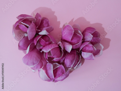 Heart made of magnolia flowers against bright pink background. Natural minimal concept. Creative spring idea. Flat lay. 