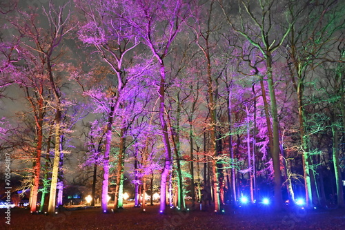 Balade nocturne sur un sentier lumineux