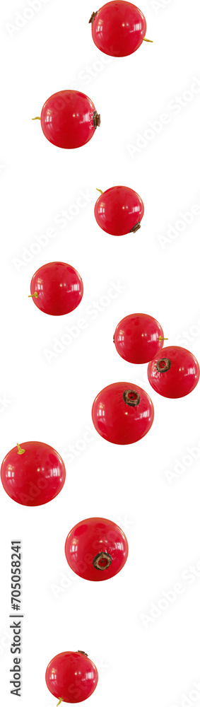 Fotografie flying red currant