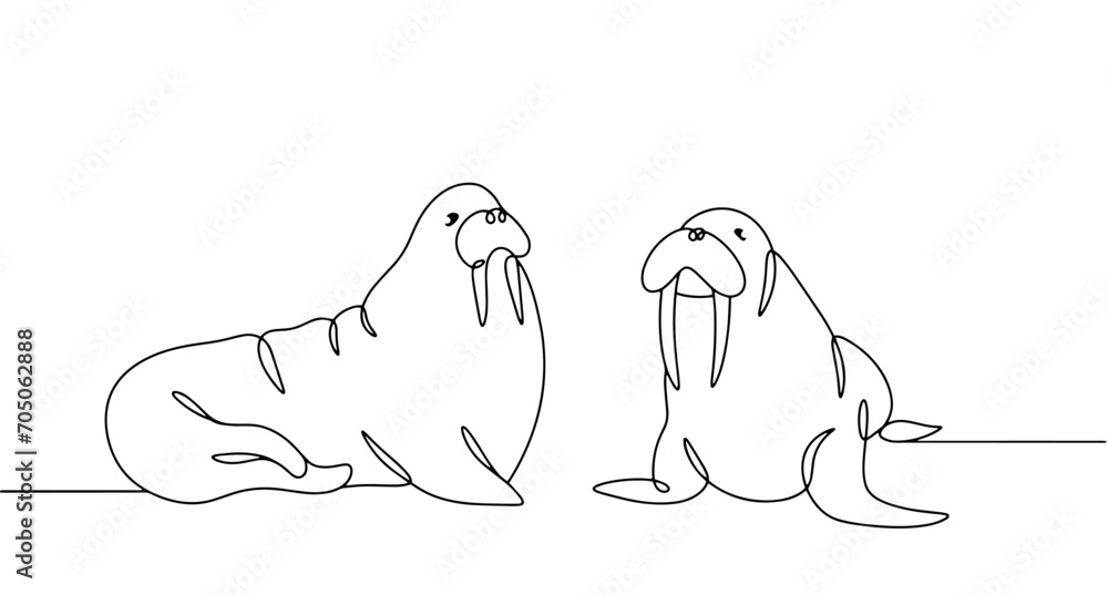 Obraz premium A pair of walruses. One line