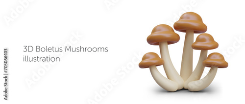 Family of honey fungus in realistic style. Concept of organic forest ingredients. Natural products. Illustration for seasonal menu. Commercial template for forest tours, camping